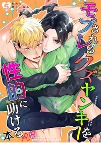 [OHAGI HANGAKU (Norimaki Gamuhiko)]用性方式帮助被路人强○的人渣不良的本子